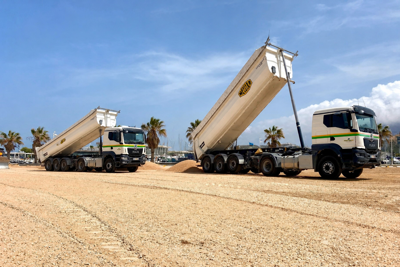 magnific_anademe-otro-camion-simil_2960081375